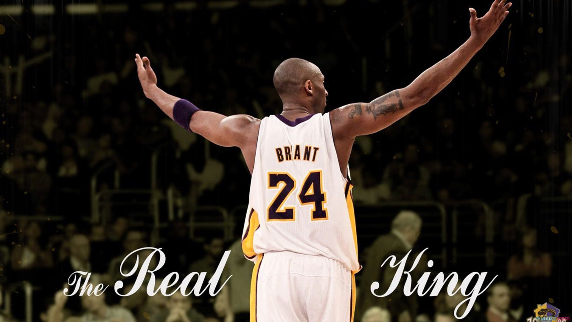 球员风采纪录片首播，背后故事感人至深，篮球人物球星纪录片合集